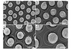 Nanoporous Gold and Silver Nanoparticles and Substrates for Molecular and Biomolecular Sensing 